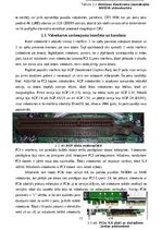 Research Papers 'Videokartes un GPU, to salīdzinājums ar mobilajām versijām', 11.