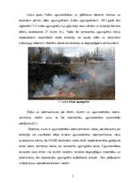Research Papers 'Objektu teritorijas uzturēšanas ugunsdrošības īpatnības', 7.