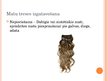 Presentations 'Liekie matu izstrādājumi', 8.