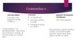 Presentations 'Starptautiskie cilvēktiesību aizsardzības mehānismi', 3.
