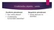 Presentations 'Starptautiskie cilvēktiesību aizsardzības mehānismi', 5.