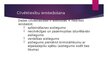 Presentations 'Starptautiskie cilvēktiesību aizsardzības mehānismi', 6.