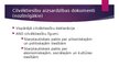 Presentations 'Starptautiskie cilvēktiesību aizsardzības mehānismi', 19.