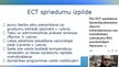 Presentations 'Starptautiskie cilvēktiesību aizsardzības mehānismi', 32.