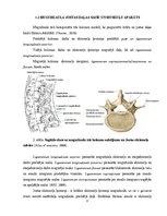 Research Papers 'Lumbālās diska trūces konservatīvās un mikroķirurģiskās ārstēšanas agrīnu rezult', 8.