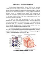 Research Papers 'Lumbālās diska trūces konservatīvās un mikroķirurģiskās ārstēšanas agrīnu rezult', 11.