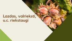 Presentations 'Lazdas, valrieksti, u.c. riekstaugi', 1.
