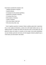 Practice Reports 'Reklāmas komercdarbības prakses darbs', 39.