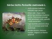 Presentations 'Latvijā aizsargājamo kukaiņu sugas', 6.