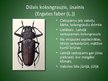 Presentations 'Latvijā aizsargājamo kukaiņu sugas', 13.