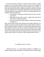 Research Papers 'Ceļojuma maršruta izstrāde uz Riodežaneiro: tirgus izpēte, izmaksu aprēķins', 10.