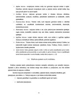 Research Papers 'Ceļojuma maršruta izstrāde uz Riodežaneiro: tirgus izpēte, izmaksu aprēķins', 14.