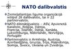 Presentations 'Ziemeļatlantijas līguma organizācija (NATO)', 5.