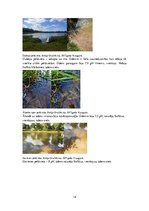 Research Papers 'Ūdens kvalitāte Grobiņas novada peldvietās', 14.
