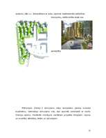 Research Papers 'Dreiliņu dzīvojamā rajona funkcionālā un arhitektoniskā attīstība', 17.