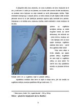 Research Papers 'Rokas - plaukstas plastiskā ķirurģija', 13.