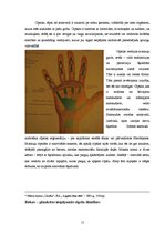 Research Papers 'Rokas - plaukstas plastiskā ķirurģija', 15.