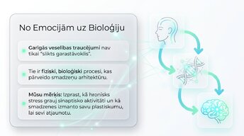 Presentations 'Depresija, trauksme un smadzeņu neiroplastiskums', 2.