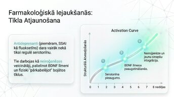 Presentations 'Depresija, trauksme un smadzeņu neiroplastiskums', 10.