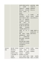 Summaries, Notes 'Mācību stundas konspekts sociālās zinībās 3. klase', 2.