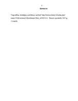 Essays 'Tirgvedības stratēģijas problēmas analīze', 11.