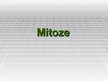 Presentations 'Mitoze', 1.
