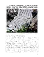 Research Papers 'Azbests un azbesta atkritumu poligons', 5.