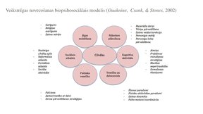 Presentations 'Veiksmīgas novecošanas modeli', 14.