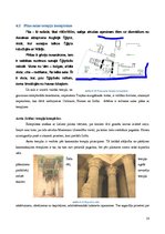 Research Papers 'Ēģiptes kanonisko tempļu arhitektūra', 18.