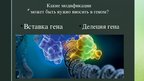 Presentations 'Генная инженерия животных', 15.