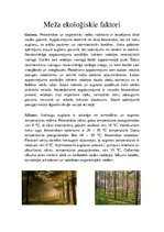 Presentations 'Latvijas meži un to problēmas', 5.