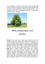 Presentations 'Latvijas meži un to problēmas', 18.