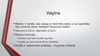 Presentations 'Sievietes uroģenitālā anatomija', 20.