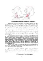Research Papers '"Saziņas kakla" sindroma ietekme uz augšējo ekstremitāšu muskuļu funkcionēšanu', 11.
