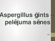 Presentations 'Aspergillus ģints - pelējuma sēnes', 1.