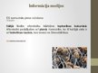 Presentations 'Aspergillus ģints - pelējuma sēnes', 18.