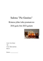 Business Plans 'Salona "Pie Gunitas" reklāmas plāns', 1.