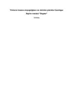 Research Papers 'Vēstures traumu atspoguļojums un sievietes pieredze Gundegas Repšes romānā “Boge', 1.