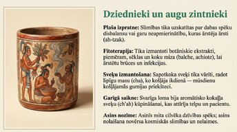 Presentations 'Maiju civilizācija', 17.