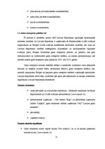 Term Papers 'VAS Starptautiskās lidostas "Rīga" attīstības iespējas transnacionālo gaisa pārv', 14.