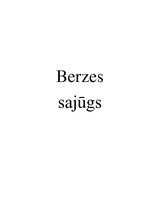 Summaries, Notes 'Berzes sajūgs', 1.