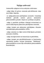 Summaries, Notes 'Berzes sajūgs', 2.