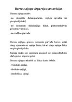 Summaries, Notes 'Berzes sajūgs', 3.