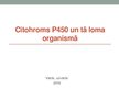 Presentations 'Citohroms P450 un tā loma organismā. CYP450 jeb P450', 1.