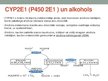 Presentations 'Citohroms P450 un tā loma organismā. CYP450 jeb P450', 8.