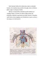Research Papers 'Asinsrites orgānu slimības un izsargāšanās no tām', 13.