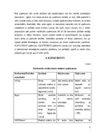 Business Plans 'Žetoni darba laika uzskaitei', 5.