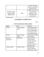 Business Plans 'Žetoni darba laika uzskaitei', 13.