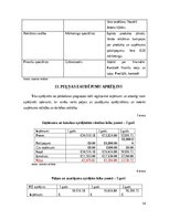 Business Plans 'Žetoni darba laika uzskaitei', 14.