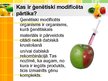 Presentations 'Iedzīvotāju informētība par ģenētiski modificēto pārtiku', 3.
